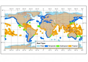  - whereSubtropicalReefs-300x212